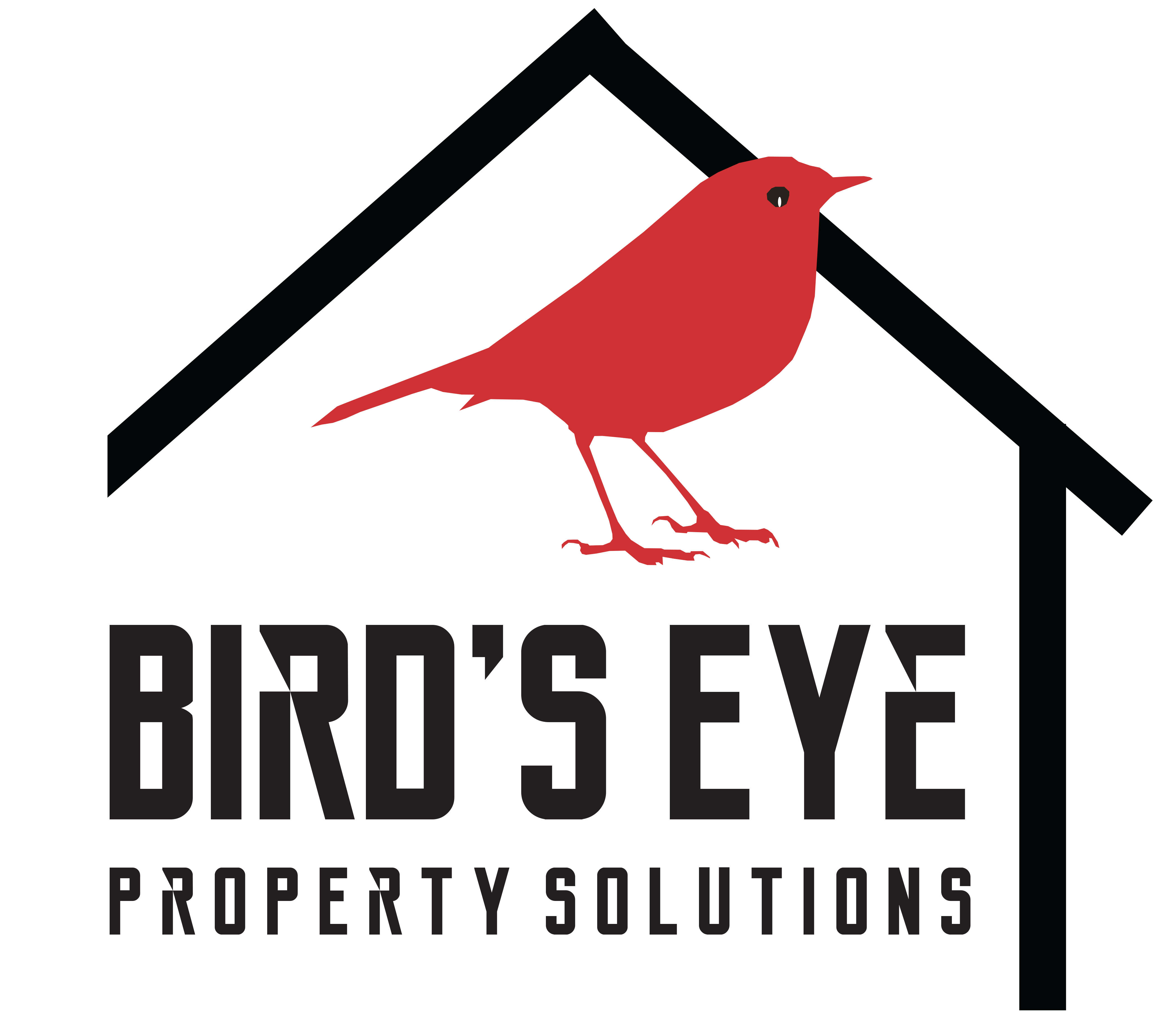 Bird's Eye Property Solutions 